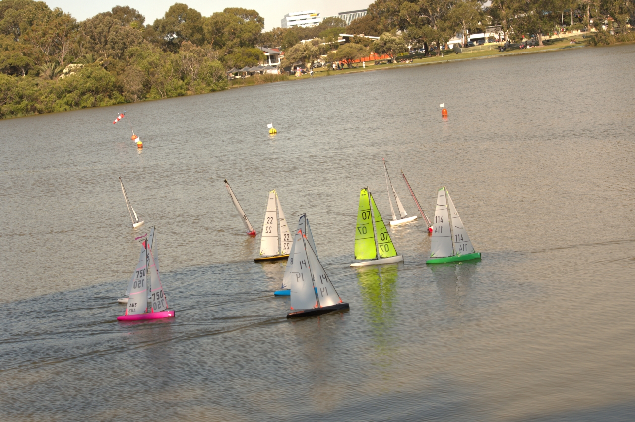 DF65 fleet1s